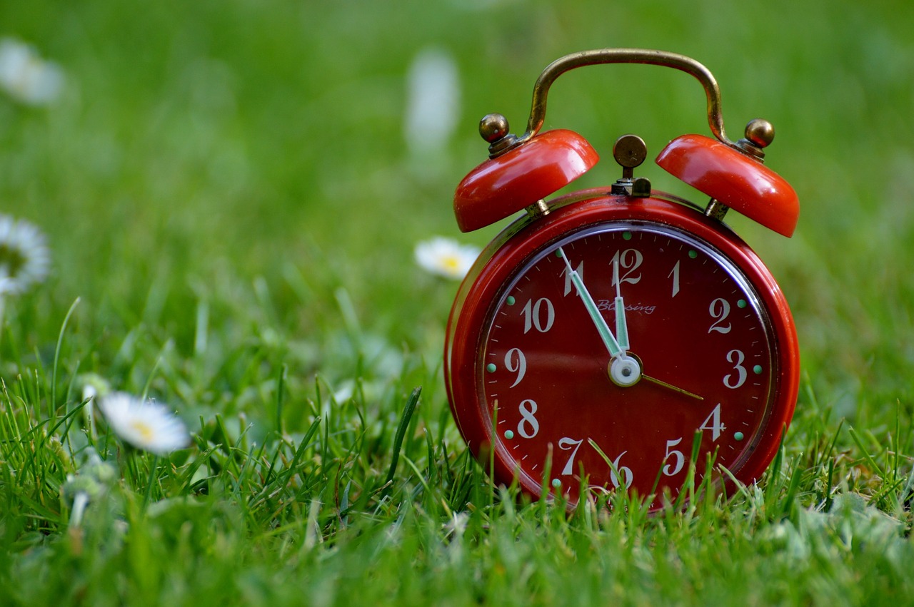 Spring Forward 5 Tips to Adjust to Daylight Saving Time Sleep Baby Love